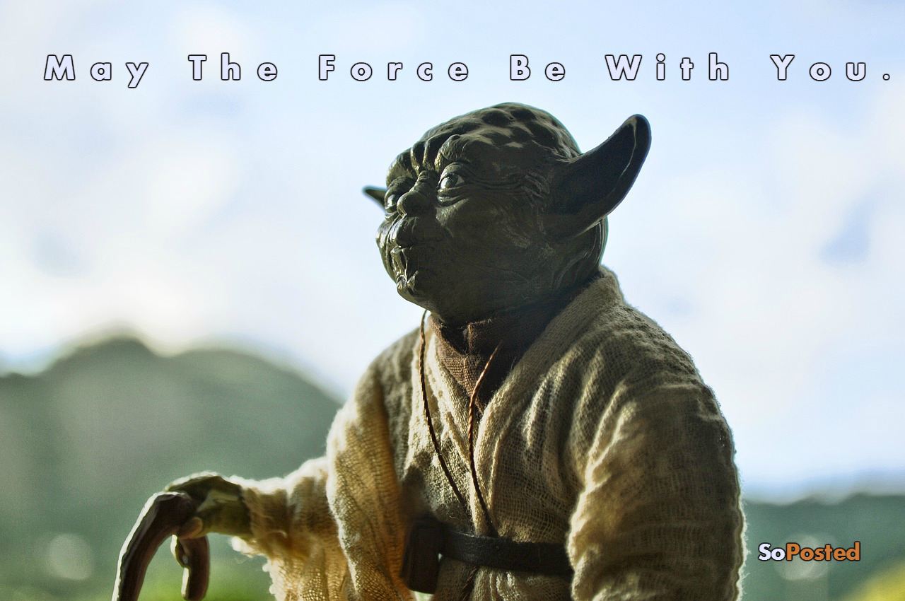 Yoda Ultimate Quotes By The Jedi Master SoPosted